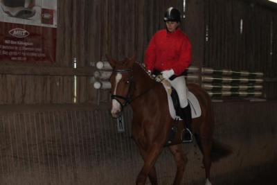 Foto des Albums: Reitabzeichenprüfung