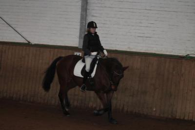 Foto des Albums: Reitabzeichenprüfung