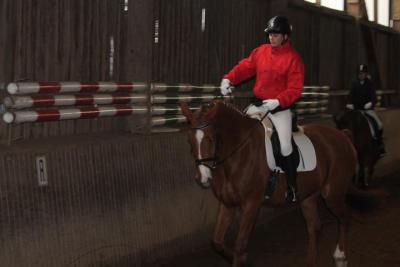 Foto des Albums: Reitabzeichenprüfung