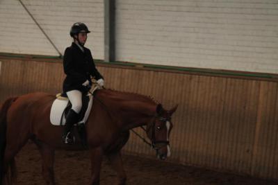 Foto des Albums: Reitabzeichenprüfung