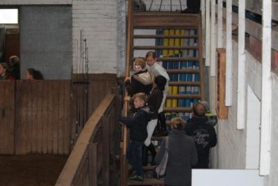 Foto des Albums: Reitabzeichenprüfung