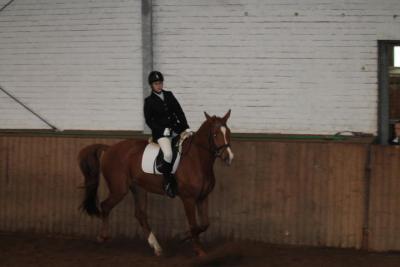 Foto des Albums: Reitabzeichenprüfung
