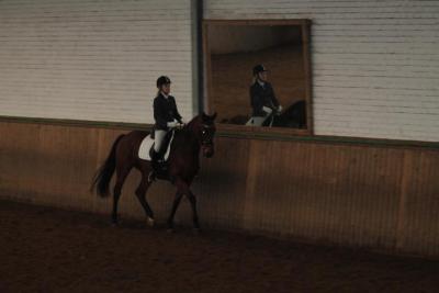 Foto des Albums: Reitabzeichenprüfung