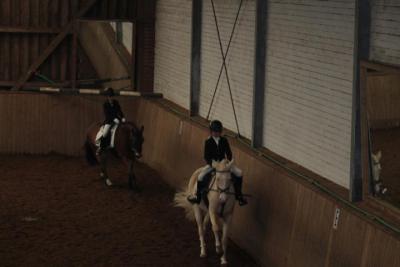 Foto des Albums: Reitabzeichenprüfung