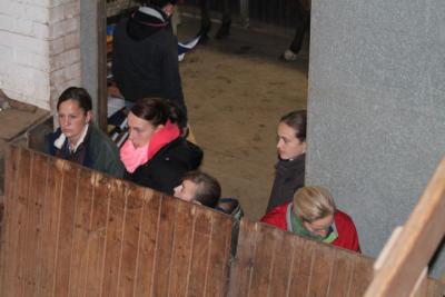 Foto des Albums: Reitabzeichenprüfung