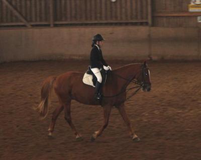 Foto des Albums: Reitabzeichenprüfung