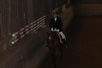 Foto des Albums: Reitabzeichenprüfung