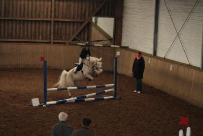 Foto des Albums: Reitabzeichenprüfung