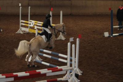 Foto des Albums: Reitabzeichenprüfung