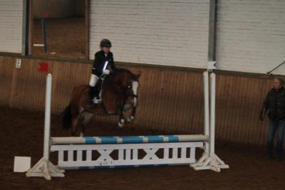 Foto des Albums: Reitabzeichenprüfung