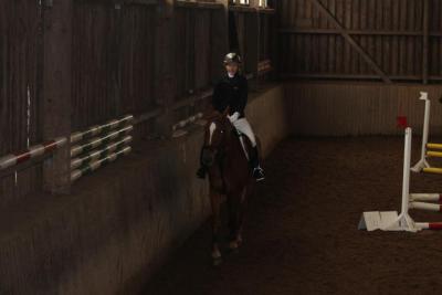 Foto des Albums: Reitabzeichenprüfung