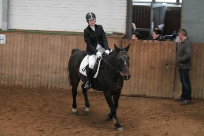 Foto des Albums: Reitabzeichenprüfung