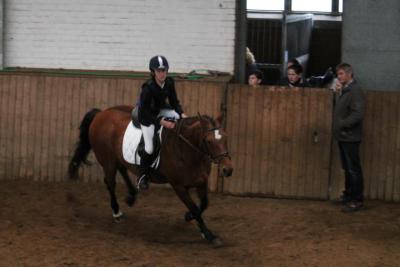 Foto des Albums: Reitabzeichenprüfung