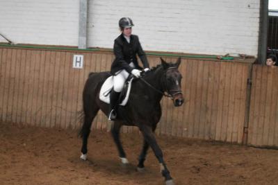 Foto des Albums: Reitabzeichenprüfung