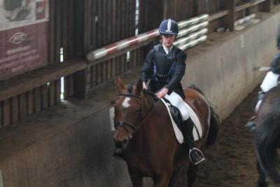 Foto des Albums: Reitabzeichenprüfung