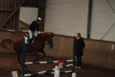 Foto des Albums: Reitabzeichenprüfung