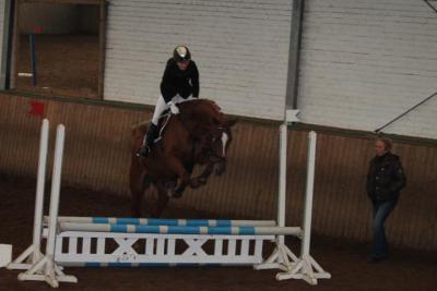 Foto des Albums: Reitabzeichenprüfung
