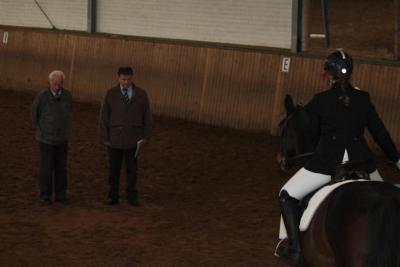 Foto des Albums: Reitabzeichenprüfung