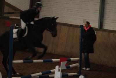 Foto des Albums: Reitabzeichenprüfung