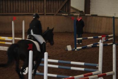 Foto des Albums: Reitabzeichenprüfung