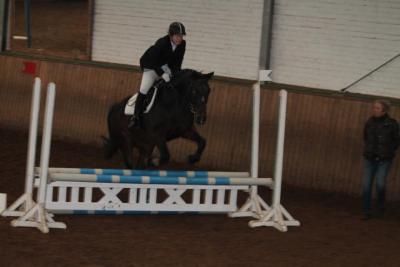 Foto des Albums: Reitabzeichenprüfung