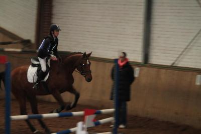 Foto des Albums: Reitabzeichenprüfung