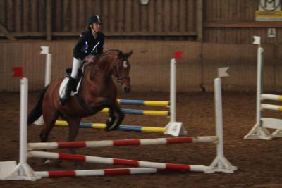 Foto des Albums: Reitabzeichenprüfung
