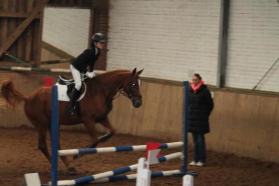 Foto des Albums: Reitabzeichenprüfung