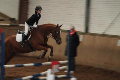 Foto des Albums: Reitabzeichenprüfung