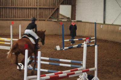 Foto des Albums: Reitabzeichenprüfung