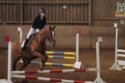 Foto des Albums: Reitabzeichenprüfung