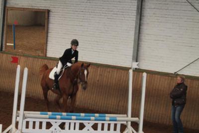 Foto des Albums: Reitabzeichenprüfung