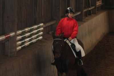 Foto des Albums: Reitabzeichenprüfung