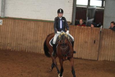 Foto des Albums: Reitabzeichenprüfung
