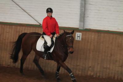 Foto des Albums: Reitabzeichenprüfung
