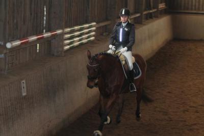Foto des Albums: Reitabzeichenprüfung