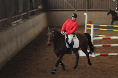 Foto des Albums: Reitabzeichenprüfung