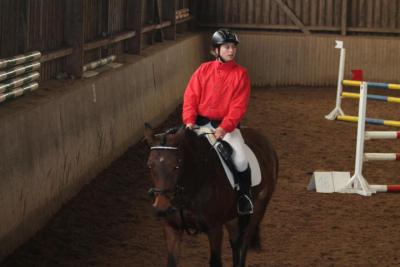 Foto des Albums: Reitabzeichenprüfung