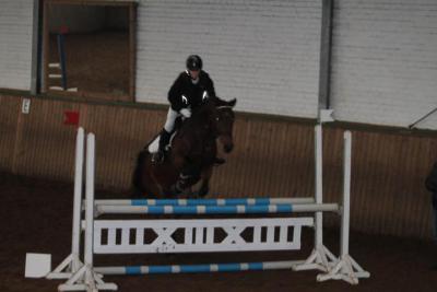 Foto des Albums: Reitabzeichenprüfung