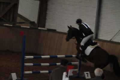 Foto des Albums: Reitabzeichenprüfung