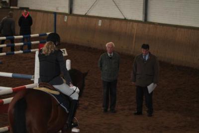 Foto des Albums: Reitabzeichenprüfung
