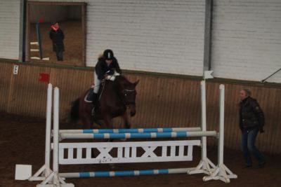 Foto des Albums: Reitabzeichenprüfung