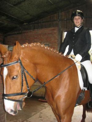 Foto des Albums: Reitabzeichenprüfung