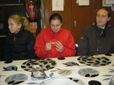 Foto des Albums: Reitabzeichenprüfung