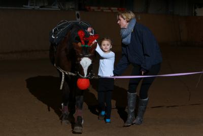 Foto des Albums: Weihnachtsfeier 2013