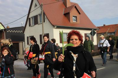Foto des Albums: Karnevalsumzug 2014