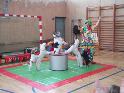 Foto des Albums: Fasching 2014