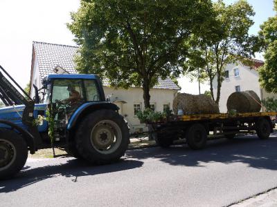 Foto des Albums: 825 Jahre Roskow 03.-05.06.11