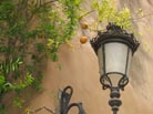 Foto des Albums: Konzertreise nach Andalusien war ein voller Erfolg