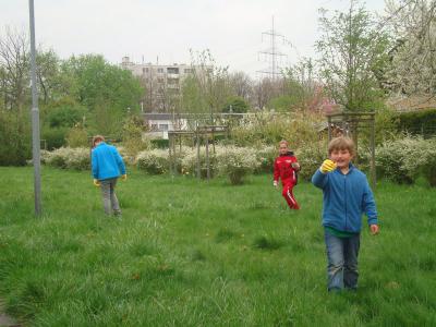 Besonders die Gr&uuml;nfl&auml;chen wurden abgesucht. 